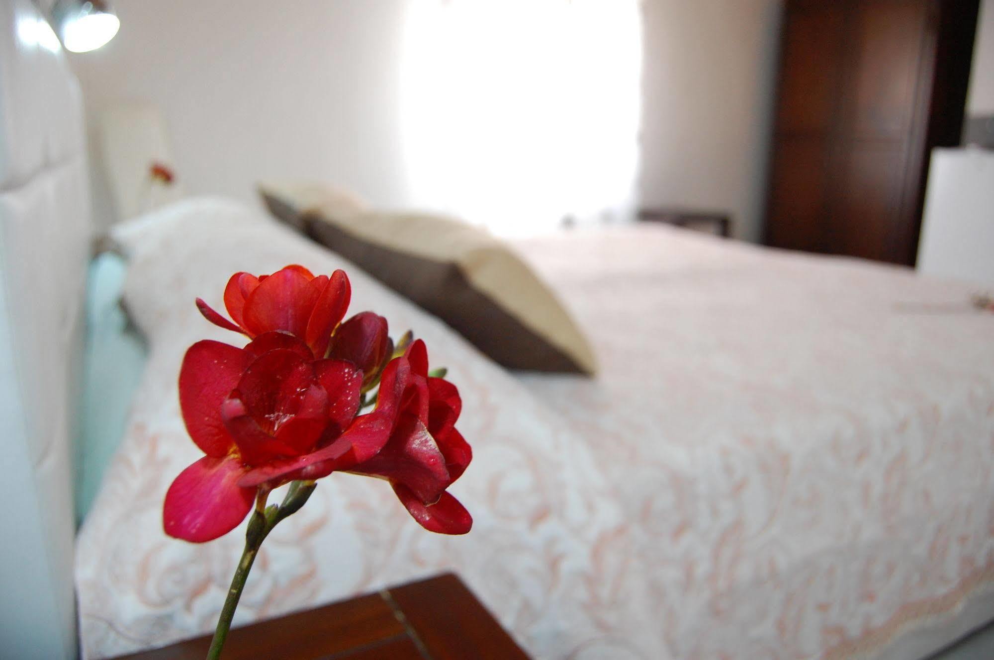 Bed and Breakfast Il Mirto E La Rosa Аренелла Екстер'єр фото